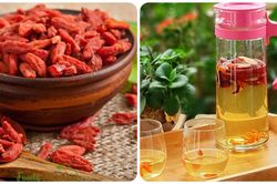 Trà kỷ tử có tác dụng gì?