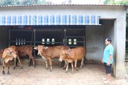 Bất cập khi triển khai đề án hỗ trợ đồng bào Ơ Đu tại Nghệ An