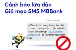 Cảnh báo, phòng ngừa các hành vi gian lận trong thanh toán ngân hàng