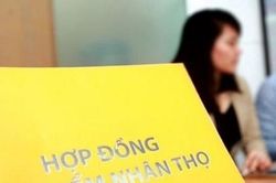 Doanh thu phí bảo hiểm tăng hơn 11%