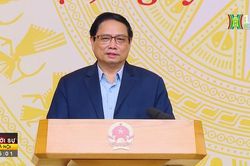 Tháo gỡ khó khăn, thúc đẩy xuất khẩu lâm, thủy sản