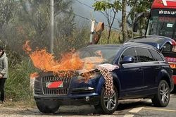 Xe Audi Q7 bốc cháy dữ dội khi lên đèo Mimosa, Đà Lạt