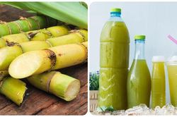 10 lợi ích của nước mía đối với sức khỏe