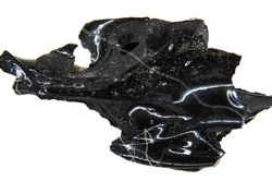 Sự thật hãi hùng bộ não bị thủy tinh hóa trong hộp sọ ở Herculaneum