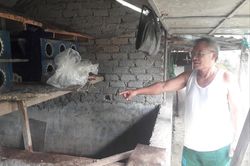 Người chăn nuôi mòn mỏi chờ tiền hỗ trợ dịch tả lợn châu Phi