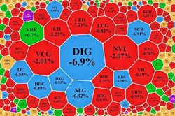 Loạt cổ phiếu bất động sản giảm sàn, VN-Index mất 11 điểm