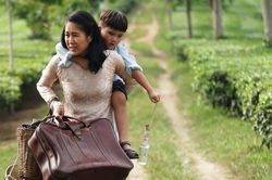 Phim của Kiều Thanh, Lê Phương trở lại rạp