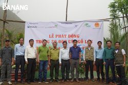 Trồng 20.000 cây gỗ lớn tại xã Hòa Liên