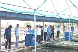 HTX cần linh hoạt trong huy động vốn