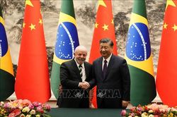 Brazil gợi ý về 'G20 chính trị' làm trung gian chấm dứt cuộc xung đột Nga - Ukraine