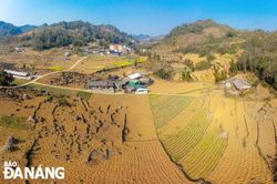Cảnh đẹp như tranh ở bản Lao Xa