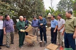 Niềm vui từ gia trại