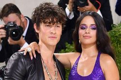 Camila Cabello chính thức thừa nhận 'yêu lại từ đầu' Shawn Mendes
