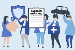 Bảo hiểm nhân thọ: Lập lờ giữa sinh lời và bảo vệ rủi ro