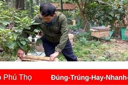 Phát triển kinh tế ở Hà Thạch