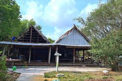 Cà Mau thu hồi dự án du lịch sinh thái sử dụng đất sai mục đích