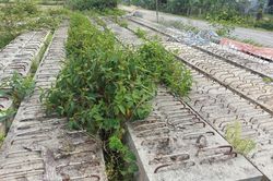 Thi công đường chục tỉ đồng ở Hà Tĩnh 'tắc' do vướng mặt bằng