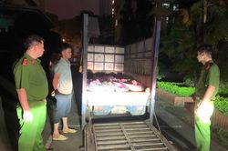 Bắt quả tang đối tượng chở 1 tấn lợn chết đi tiêu thụ