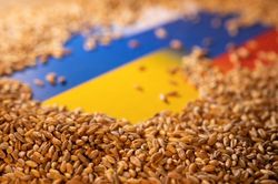 EU lục đục vì ngũ cốc Ukraine