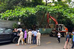 Cưỡng chế, tháo dỡ các quán, công trình xây dựng trái phép tại bán đảo Sơn Trà