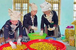 Động lực phát triển toàn diện vùng dân tộc thiểu số và miền núi