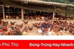 Đoàn kết giúp nhau làm giàu và giảm nghèo bền vững