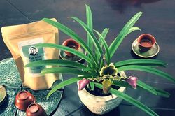 Về Đam Rông ăn dứa mật, uống trà trầm