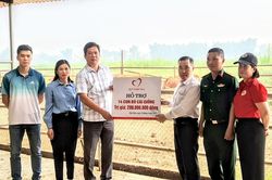 Quỹ Thiện tâm bàn giao cho Hội Chữ thập đỏ tỉnh 14 con bò cái sinh sản