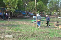 Cưỡng chế các công trình du lịch sinh thái trái phép ở hồ Trị An