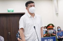 Vắng nhiều người, Tòa vẫn quyết định xét xử vụ Phùng Anh Lê