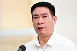Bị bác kháng cáo, ông Phùng Anh Lê lĩnh 7 năm 6 tháng tù