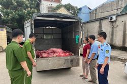 Phát hiện hơn 200kg thịt lợn bốc mùi hôi thối đang trên đường đi tiêu thụ