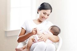 4 nhóm người tránh ăn bơ để cơ thể không rước bệnh vào người dù loại trái cây này rất bổ dưỡng