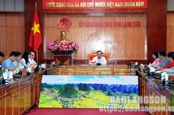 Chủ tịch UBND tỉnh tiếp và làm việc với đoàn công tác Tập đoàn Flamingo