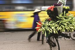 Tháng Tư - loa kèn về phố