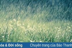 Giữa chúng ta là những cơn mưa...