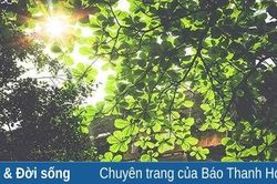 Còn trong vệt nắng tháng tư