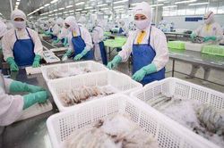 SSI Research: Thị trường Nhật Bản là động lực giúp Sao Ta (FMC) duy trì đà tăng trưởng lợi nhuận