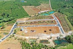 Đề nghị xử lý Công văn 1685 của Sở Tài nguyên và Môi trường Hà Nội về tách, hợp thửa đất
