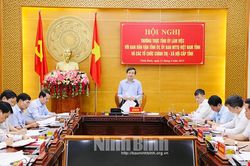 Thường trực Tỉnh ủy làm việc với Ban Dân vận Tỉnh ủy; Ủy ban MTTQ Việt Nam tỉnh và các tổ chức chính trị-xã hội cấp tỉnh