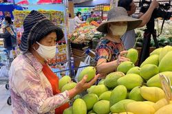 Xoài Đồng Tháp đã có mặt tại các siêu thị cả nước