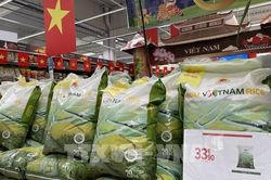 Giá gạo Việt Nam lên mức cao nhất trong hai năm