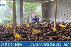 Những người trẻ thành công với mô hình nông nghiệp thông minh