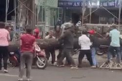 Người dân xúm lại giải cứu người phụ nữ bị cây xanh đổ đè