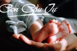 Podcast Truyện ngắn: Con cầu tự
