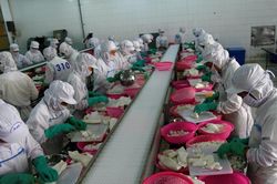 Thách thức xuất khẩu lâm, thủy sản