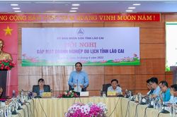 Chủ tịch UBND tỉnh: Cần linh hoạt tháo gỡ khó khăn cho các doanh nghiệp du lịch