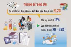 Thị trường tài chính đang dần ổn định, nhưng cần theo dõi sát