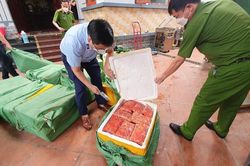 Hà Nội: Phát hiện điểm kinh doanh gần 1 tấn trứng non bốc mùi ôi thiu