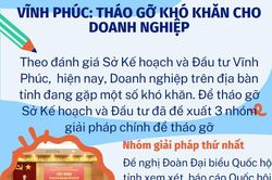 Vĩnh Phúc: Đề nghị tháo gỡ khó khăn cho doanh nghiệp